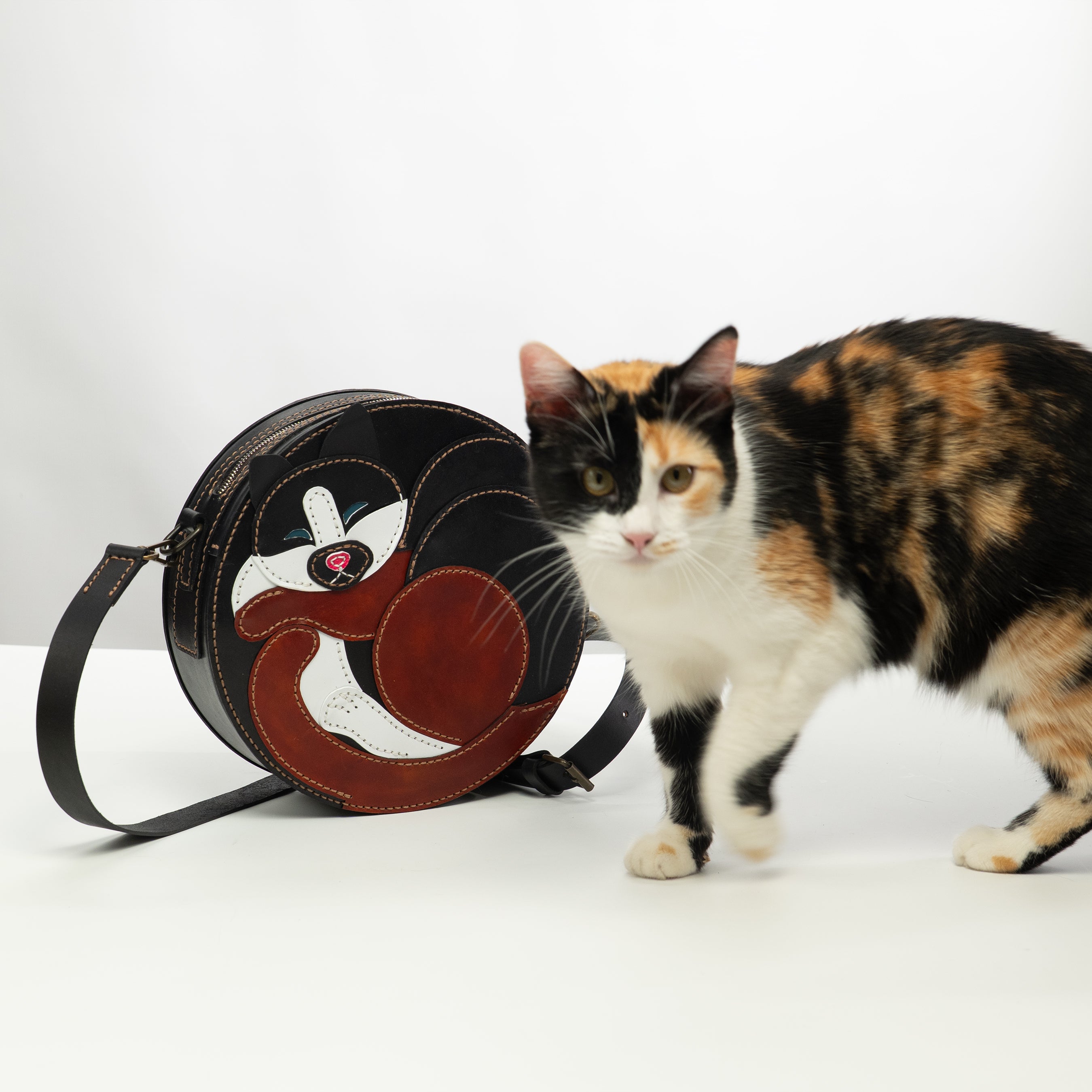 PDF + Video + DXF for Cat Bag