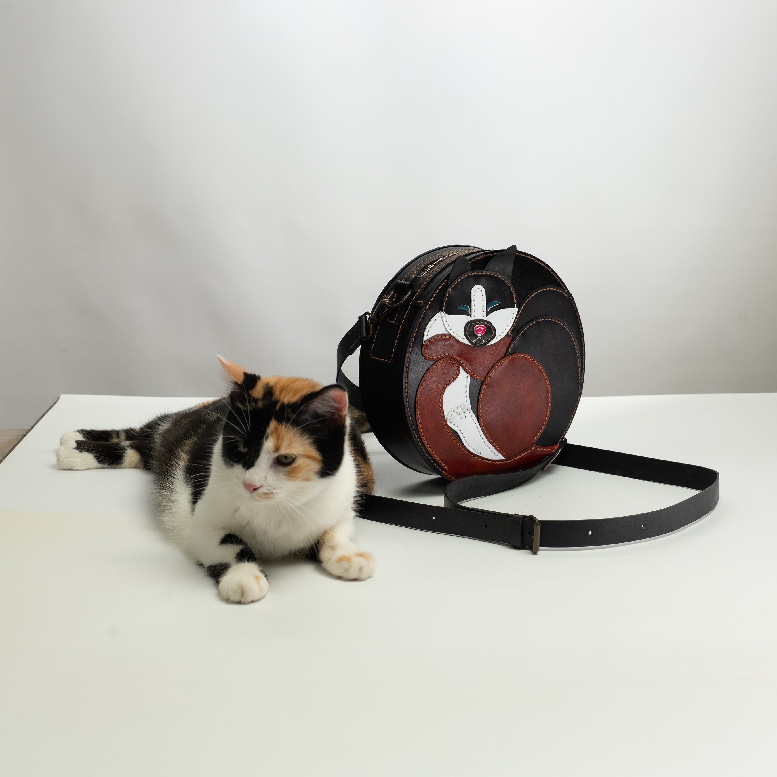 PDF + Video + DXF for Cat Bag