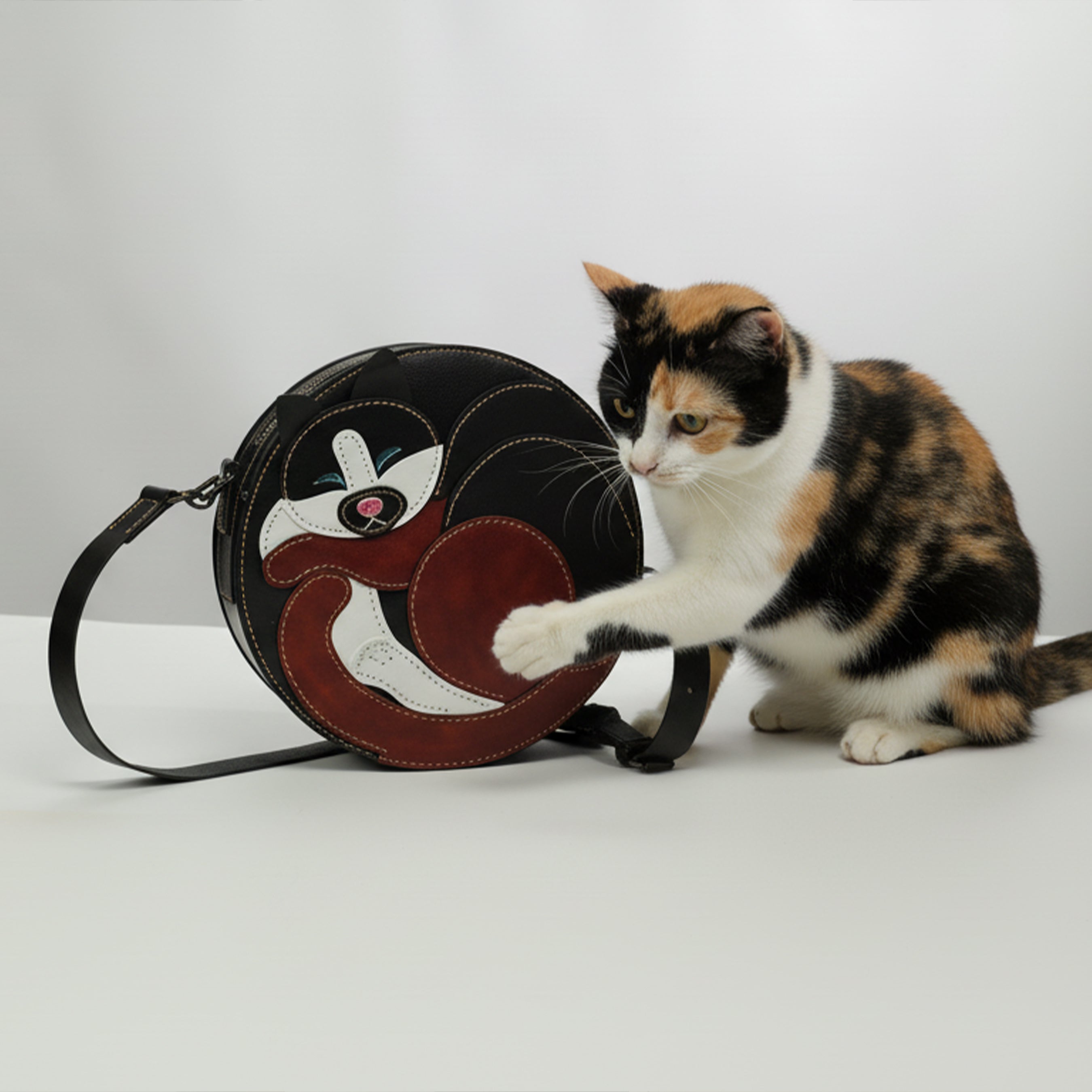 PDF + Video + DXF for Cat Bag