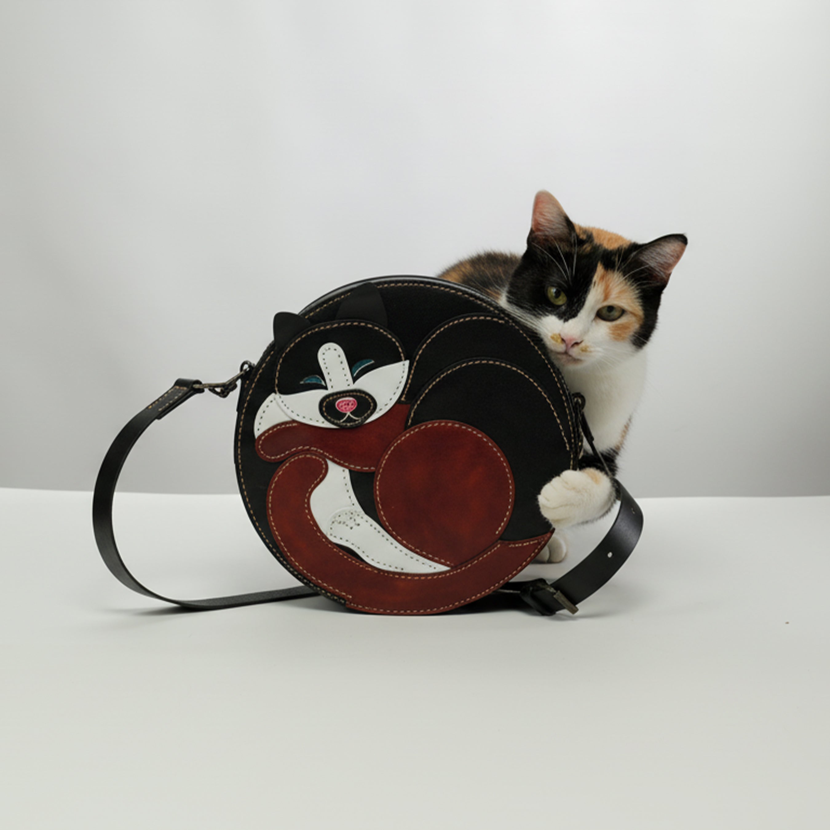 PDF + Video + DXF for Cat Bag
